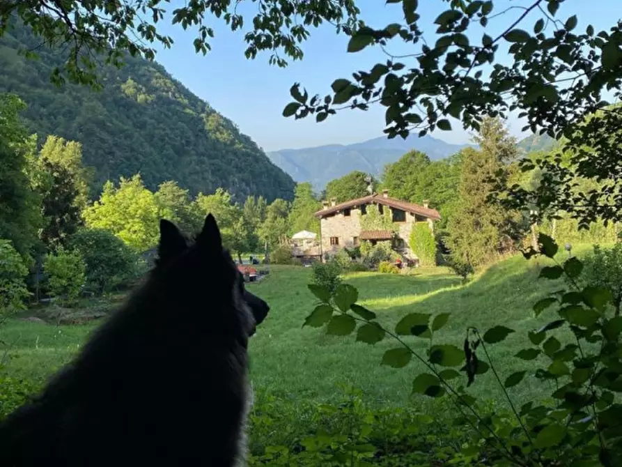 Immagine 44 di Casa indipendente in vendita  a Sabbio Chiese