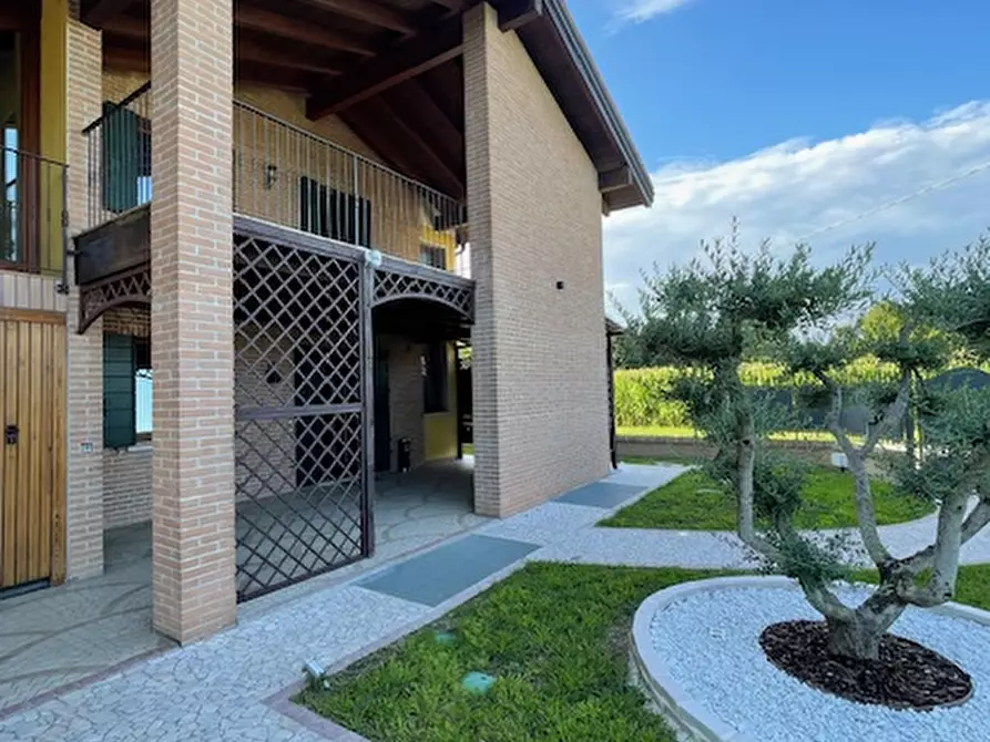 Immagine 3 di Casa indipendente in vendita  a San Giorgio Delle Pertiche
