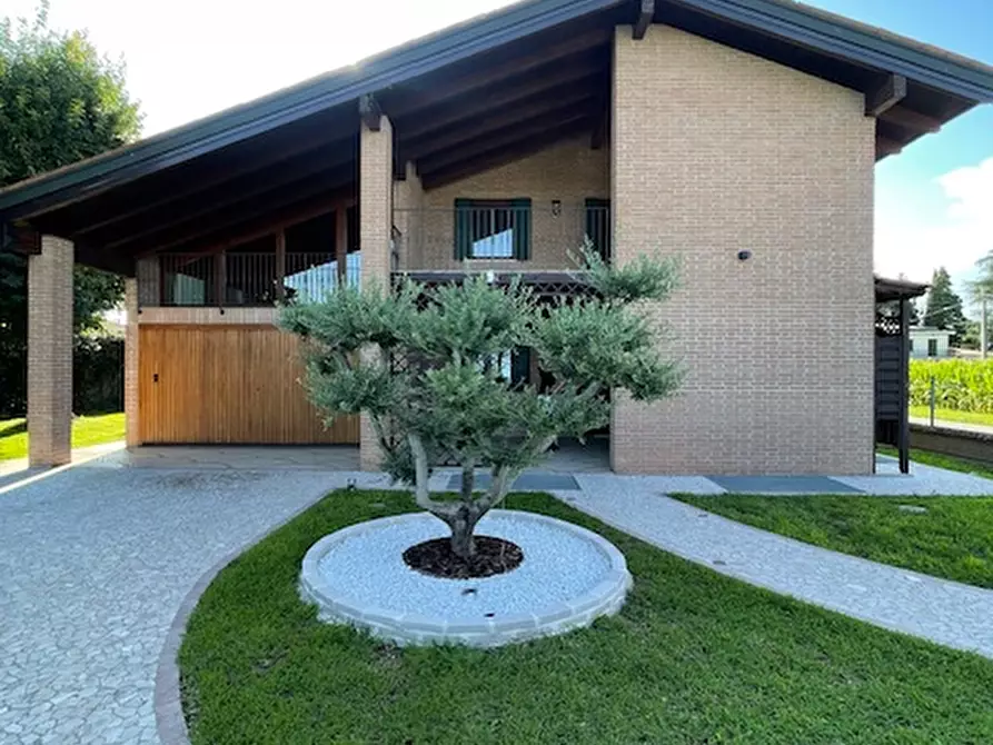 Immagine 4 di Casa indipendente in vendita  a San Giorgio Delle Pertiche