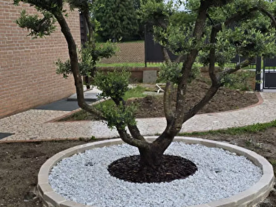 Immagine 7 di Casa indipendente in vendita  a San Giorgio Delle Pertiche