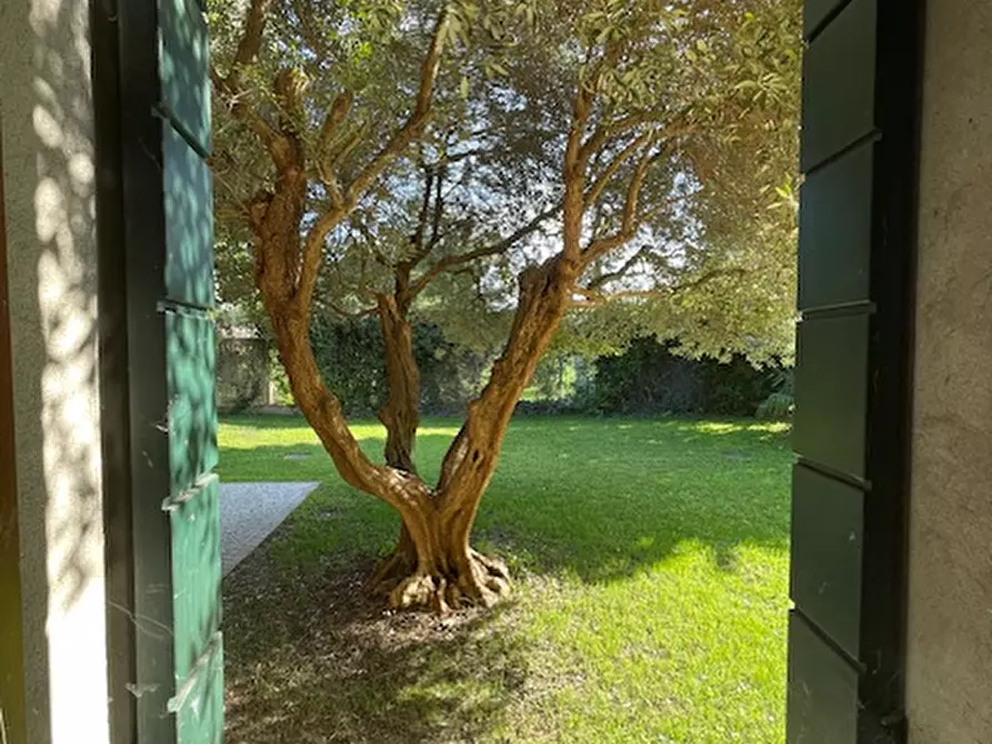 Immagine 9 di Casa indipendente in vendita  a San Giorgio Delle Pertiche