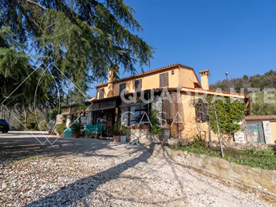 Immagine 3 di Villa in vendita  a Cinto Euganeo