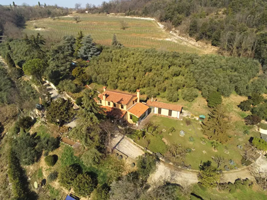 Immagine 24 di Villa in vendita  a Cinto Euganeo
