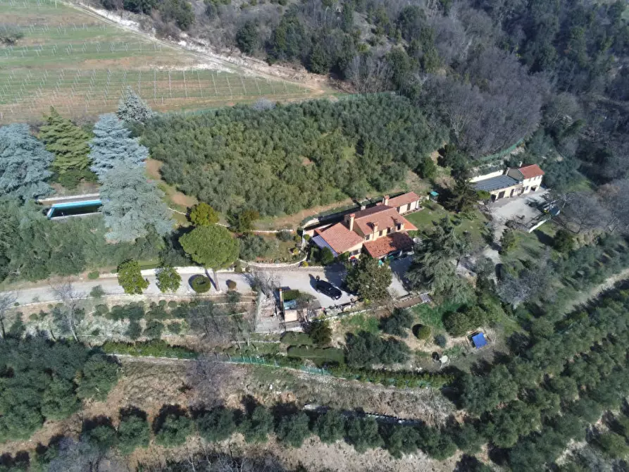 Immagine 25 di Villa in vendita  a Cinto Euganeo