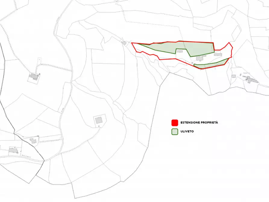 Immagine 34 di Villa in vendita  a Cinto Euganeo