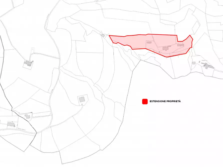 Immagine 35 di Villa in vendita  a Cinto Euganeo