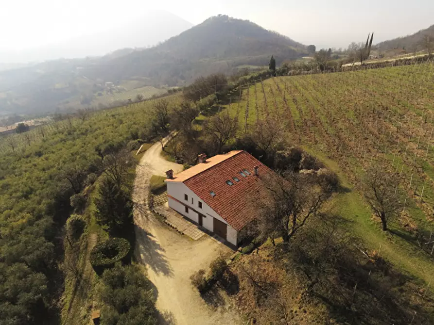 Immagine 3 di Villa in vendita  a Cinto Euganeo