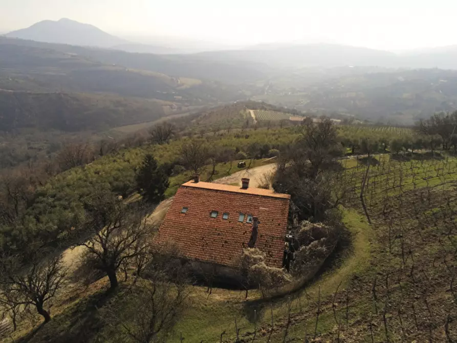 Immagine 4 di Villa in vendita  a Cinto Euganeo