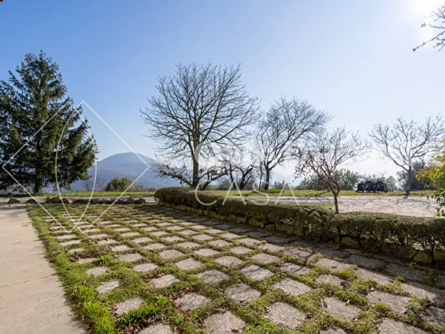 Immagine 6 di Villa in vendita  a Cinto Euganeo