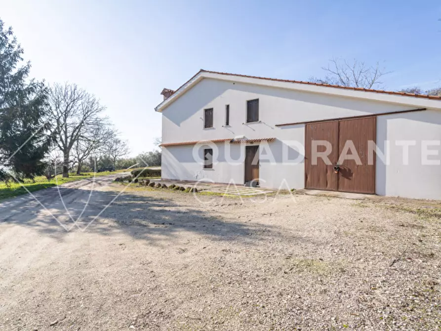 Immagine 9 di Villa in vendita  a Cinto Euganeo