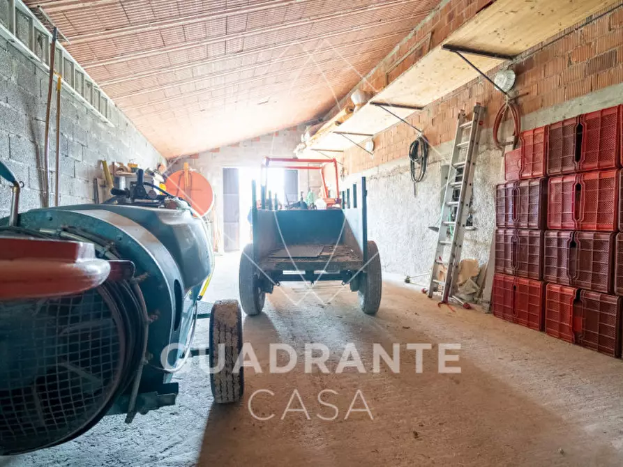 Immagine 30 di Villa in vendita  a Cinto Euganeo