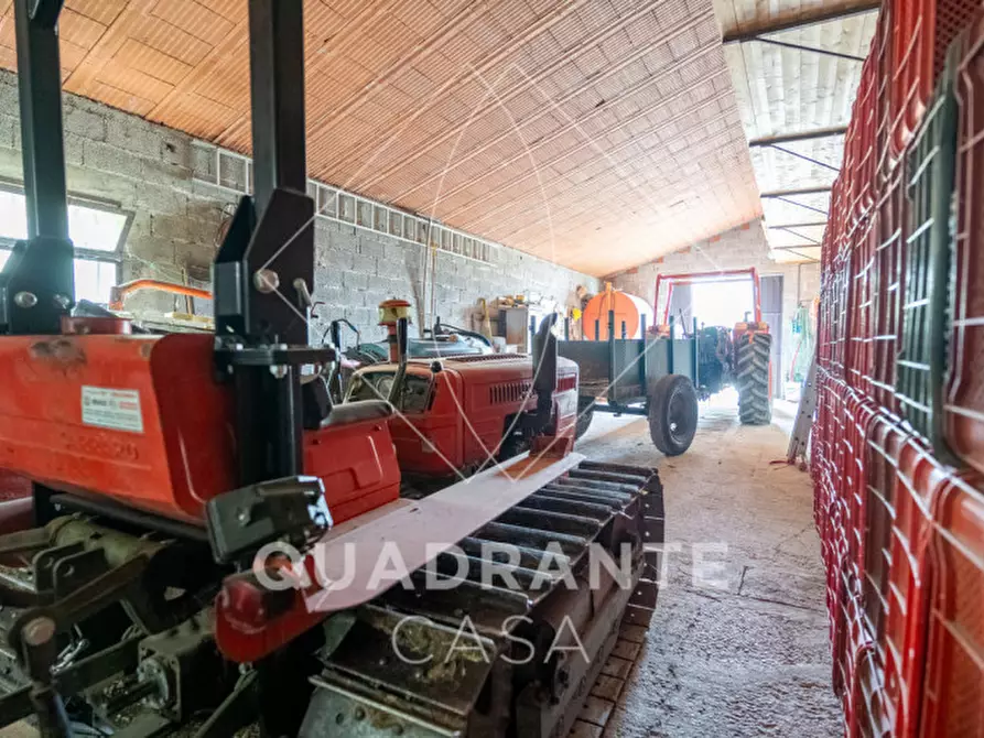 Immagine 31 di Villa in vendita  a Cinto Euganeo