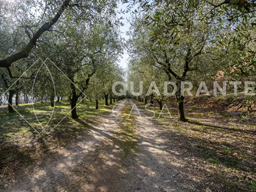 Immagine 34 di Villa in vendita  a Cinto Euganeo