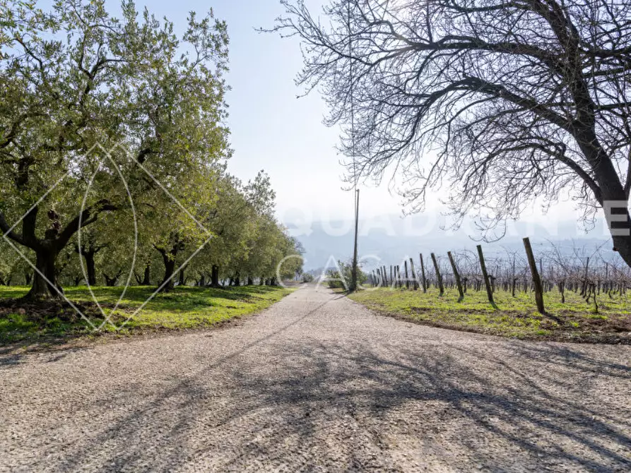 Immagine 35 di Villa in vendita  a Cinto Euganeo