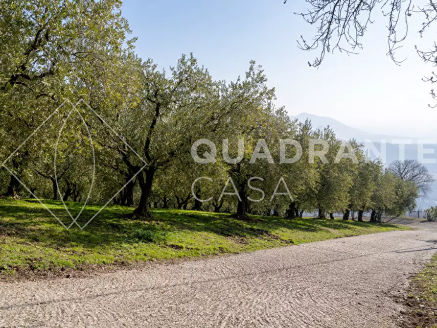 Immagine 36 di Villa in vendita  a Cinto Euganeo