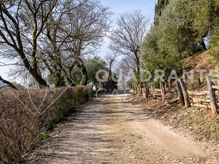 Immagine 37 di Villa in vendita  a Cinto Euganeo