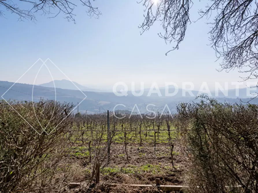 Immagine 38 di Villa in vendita  a Cinto Euganeo