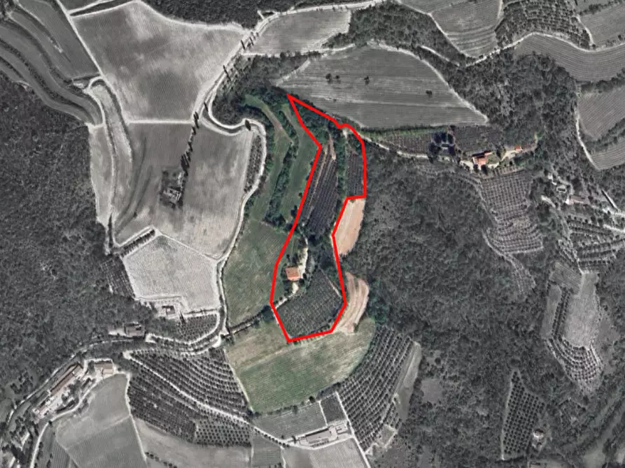 Immagine 43 di Villa in vendita  a Cinto Euganeo