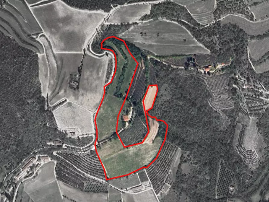 Immagine 1 di Terreno in vendita  a Cinto Euganeo