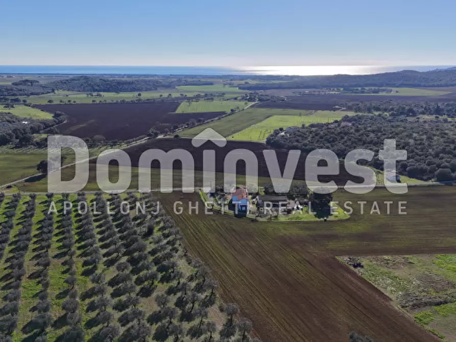 Immagine 2 di Rustico / casale in vendita  in Strada del Giardino a Capalbio