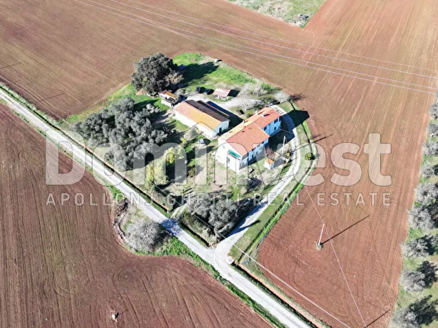 Immagine 3 di Rustico / casale in vendita  in Strada del Giardino a Capalbio