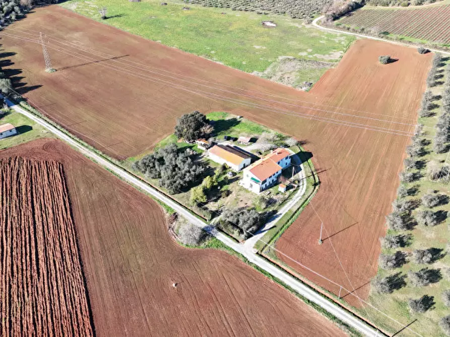 Immagine 4 di Rustico / casale in vendita  in Strada del Giardino a Capalbio