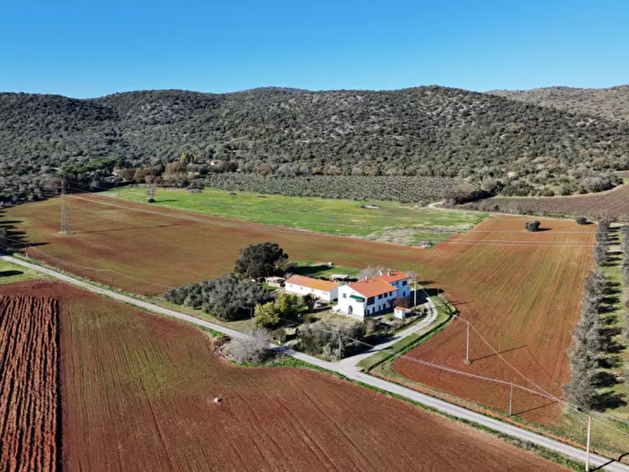 Immagine 5 di Rustico / casale in vendita  in Strada del Giardino a Capalbio