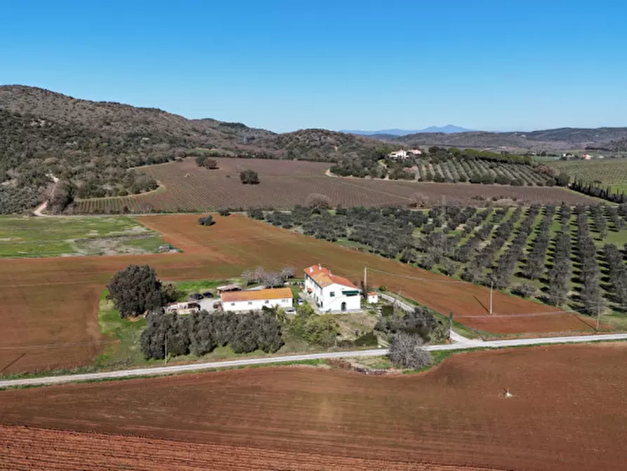 Immagine 6 di Rustico / casale in vendita  in Strada del Giardino a Capalbio