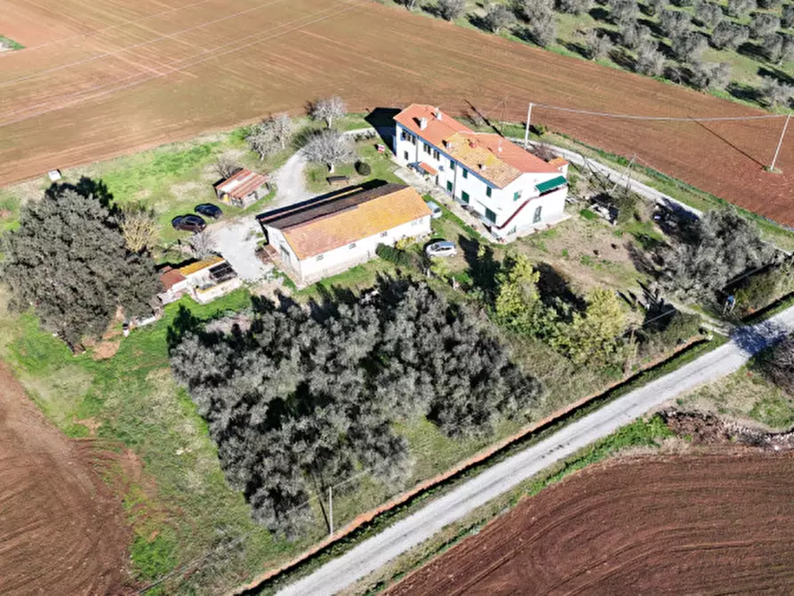 Immagine 7 di Rustico / casale in vendita  in Strada del Giardino a Capalbio