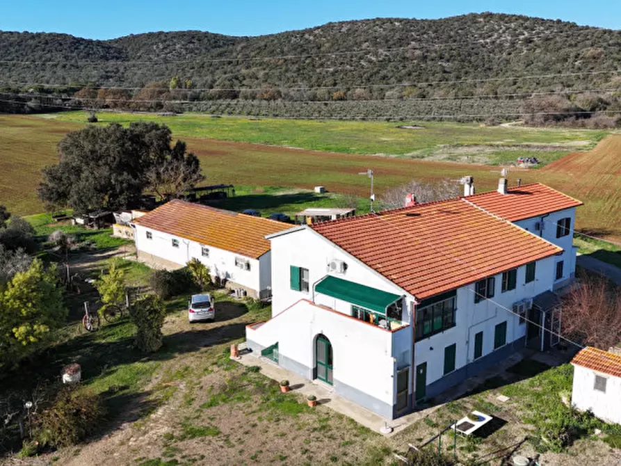 Immagine 9 di Rustico / casale in vendita  in Strada del Giardino a Capalbio