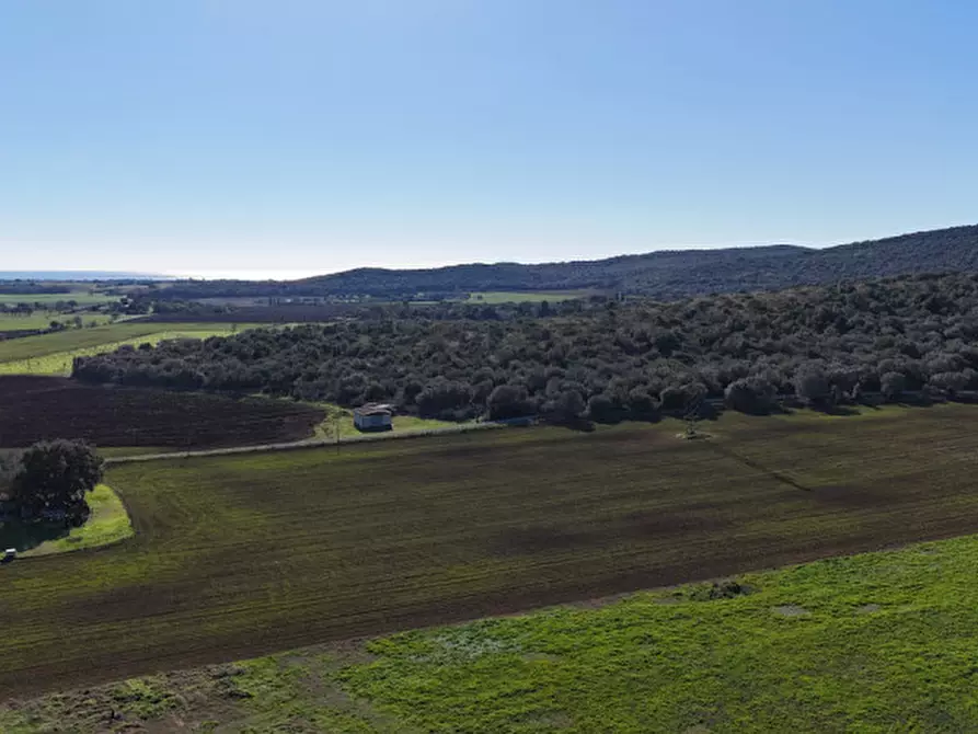 Immagine 10 di Rustico / casale in vendita  in Strada del Giardino a Capalbio