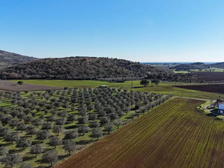 Immagine 11 di Rustico / casale in vendita  in Strada del Giardino a Capalbio