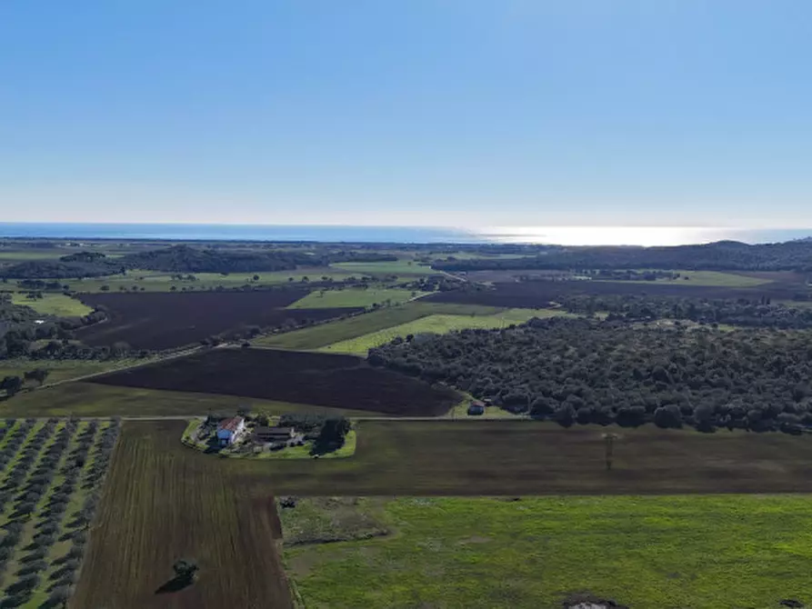 Immagine 13 di Rustico / casale in vendita  in Strada del Giardino a Capalbio