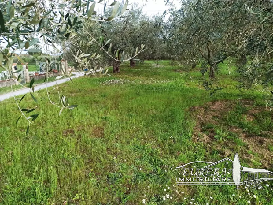 mansarda in vendita a Castiglione del Lago