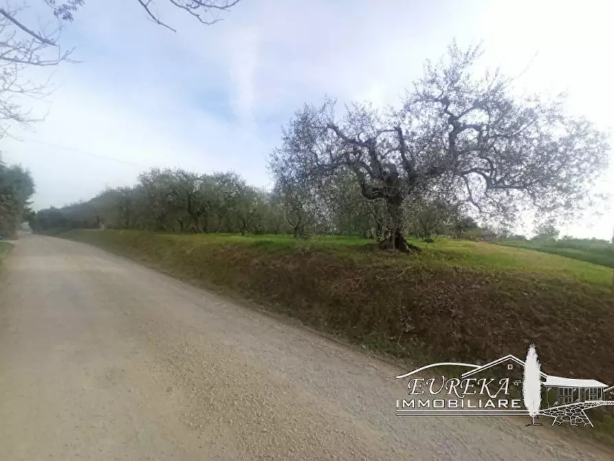 Immagine 10 di Terreno in vendita  in località Vitellino a Castiglione Del Lago