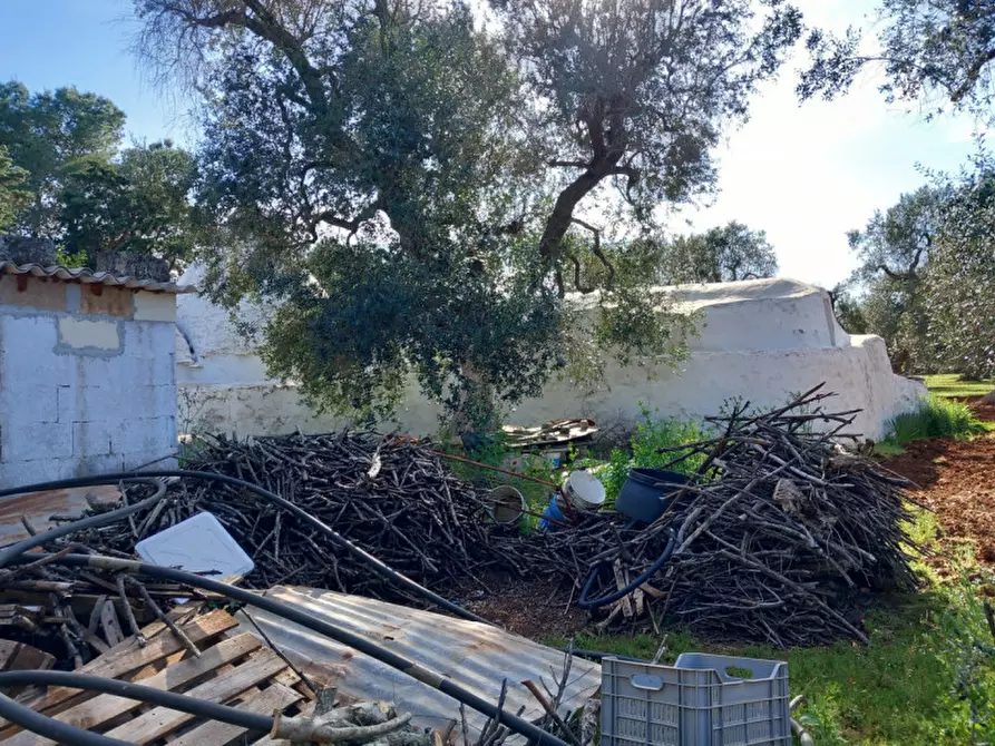 Immagine 22 di Rustico / casale in vendita  in C.da Sardella a San Michele Salentino