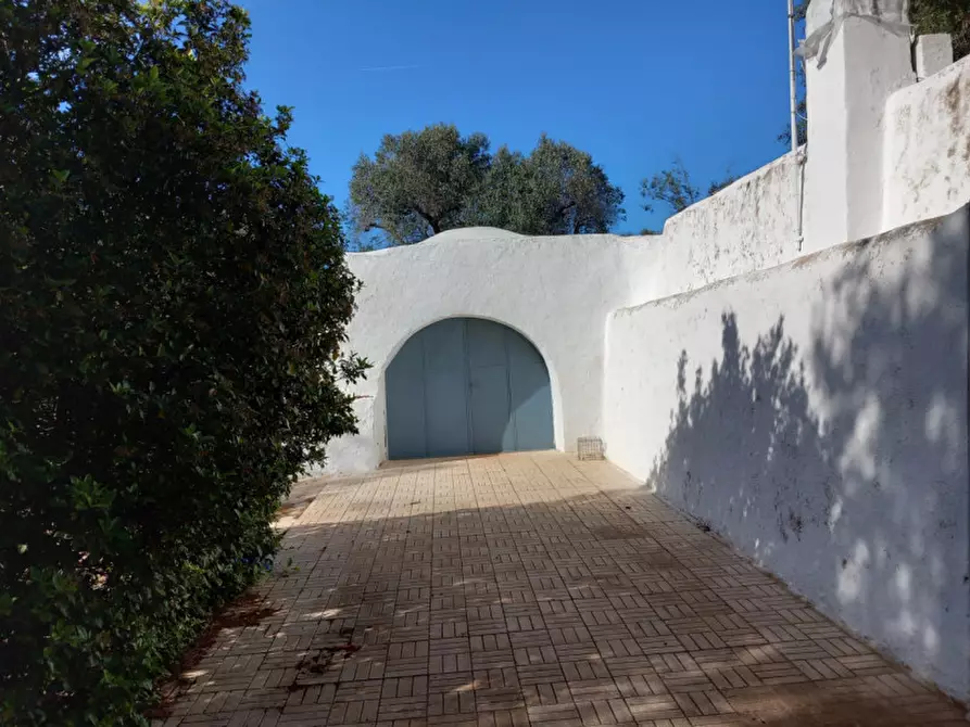 Immagine 24 di Rustico / casale in vendita  in C.da Sardella a San Michele Salentino