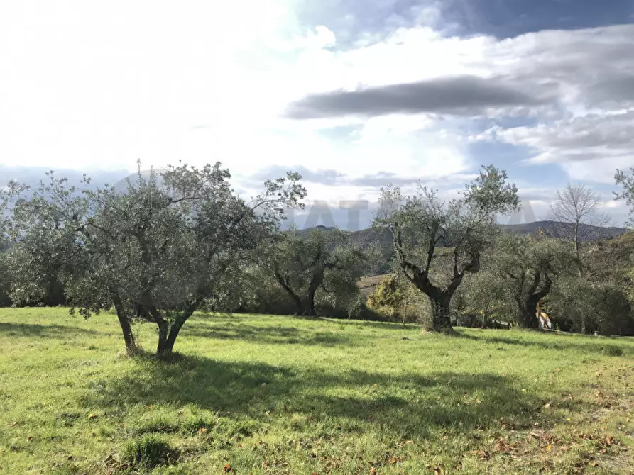 Immagine 1 di Terreno in vendita  in VIA DI DOCCIA a Pontassieve