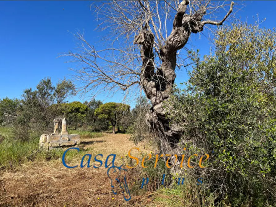 Immagine 2 di Terreno in vendita  in STRADA PROVINCIALE GALLIPOLI-CHIESANUOVA a Gallipoli