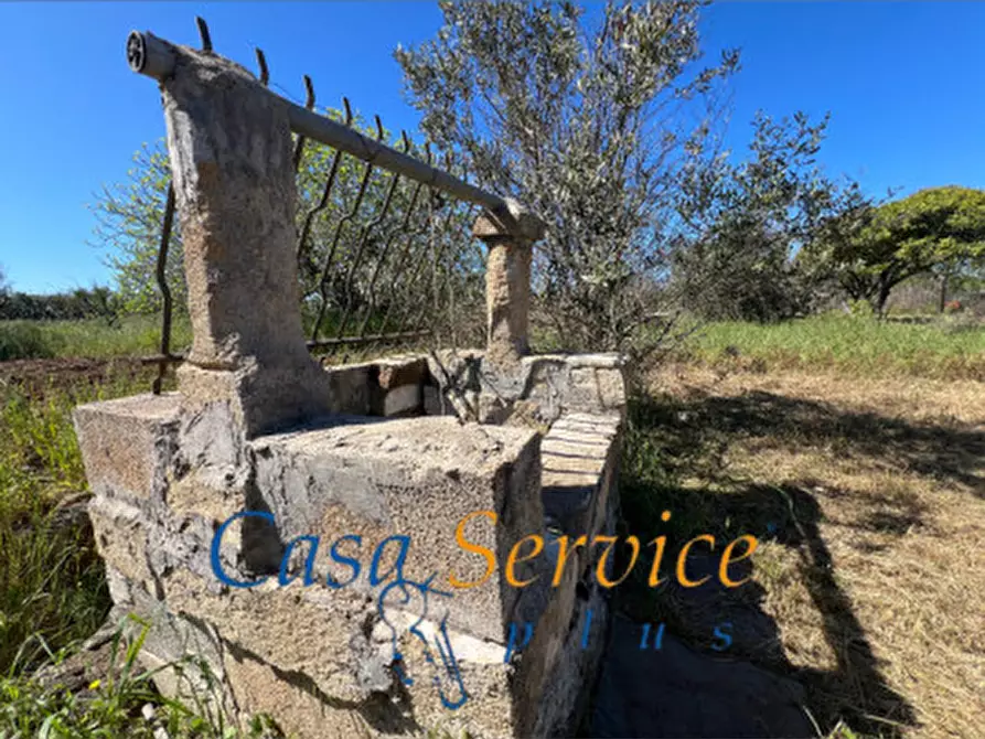 Immagine 3 di Terreno in vendita  in STRADA PROVINCIALE GALLIPOLI-CHIESANUOVA a Gallipoli