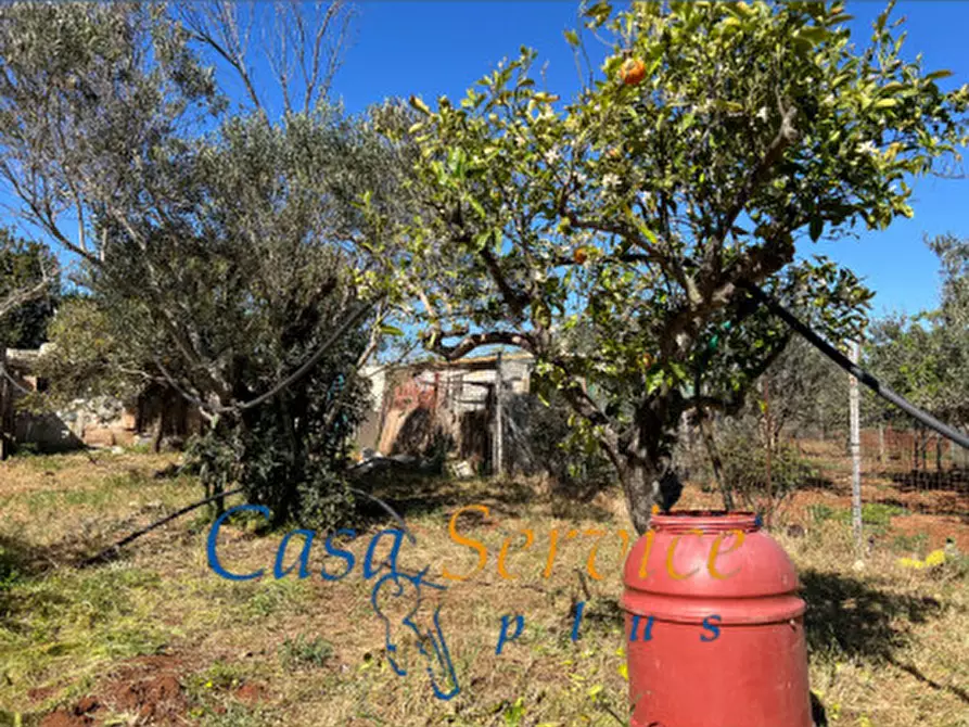 Immagine 4 di Terreno in vendita  in STRADA PROVINCIALE GALLIPOLI-CHIESANUOVA a Gallipoli