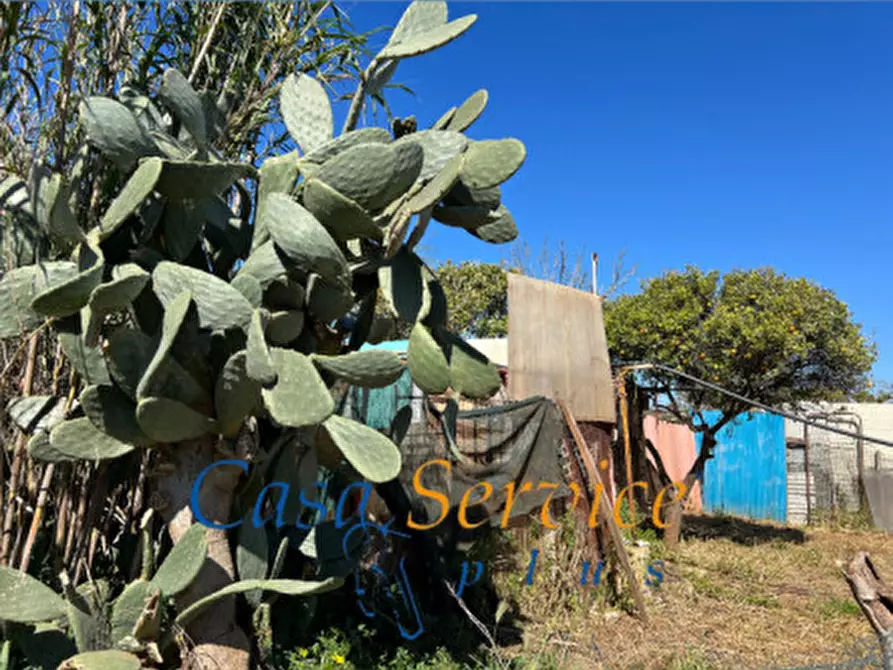 Immagine 5 di Terreno in vendita  in STRADA PROVINCIALE GALLIPOLI-CHIESANUOVA a Gallipoli