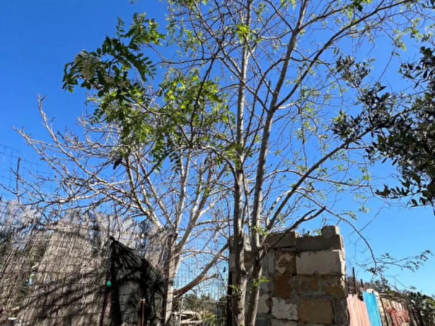 Immagine 6 di Terreno in vendita  in STRADA PROVINCIALE GALLIPOLI-CHIESANUOVA a Gallipoli