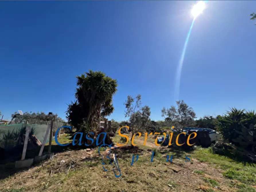 Immagine 9 di Terreno in vendita  in STRADA PROVINCIALE GALLIPOLI-CHIESANUOVA a Gallipoli