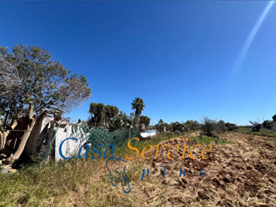 Immagine 10 di Terreno in vendita  in STRADA PROVINCIALE GALLIPOLI-CHIESANUOVA a Gallipoli