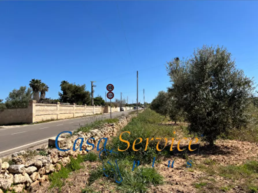 Immagine 13 di Terreno in vendita  in STRADA PROVINCIALE GALLIPOLI-CHIESANUOVA a Gallipoli