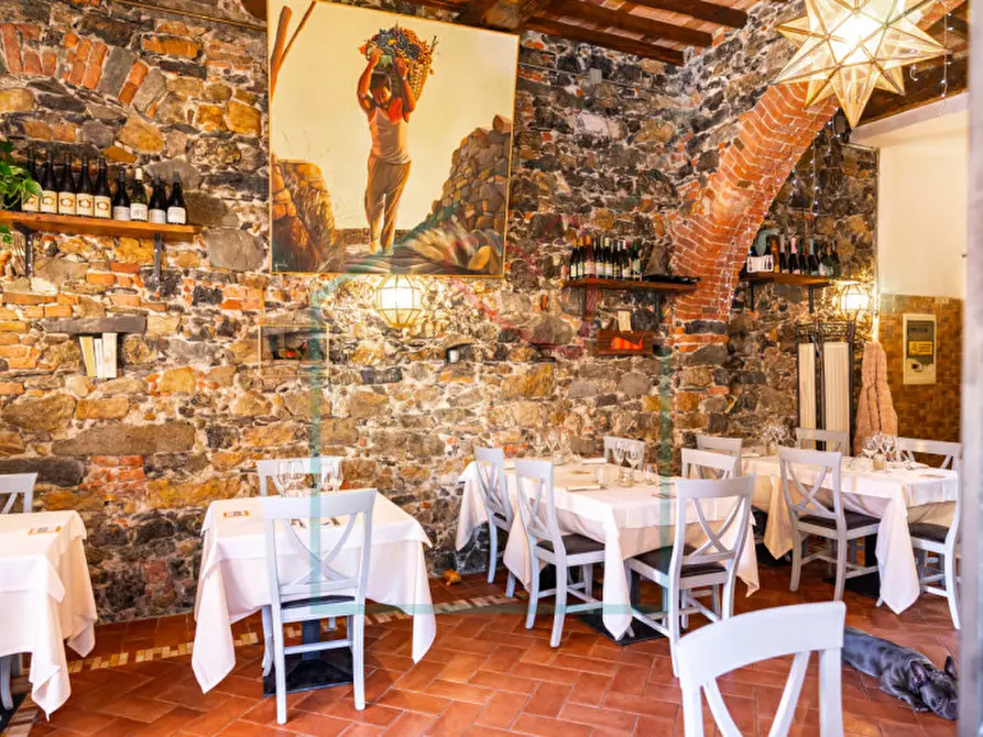 Immagine 6 di Attività commerciale in vendita  a Lerici