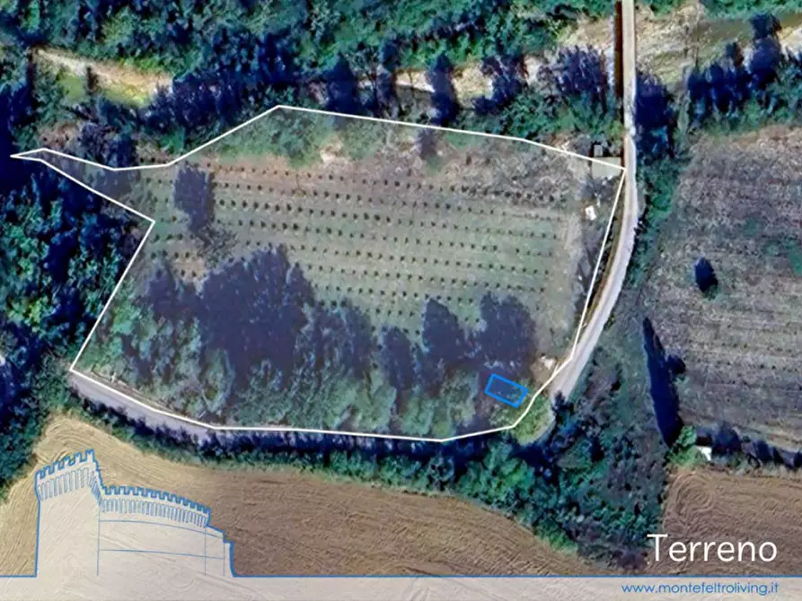 Immagine 20 di Casa indipendente in vendita  in Ponte Maggi a Sassocorvaro Auditore