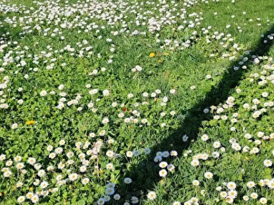 Immagine 76 di Appartamento in vendita  in LARGO GUIDO BUZZELLI a Roma