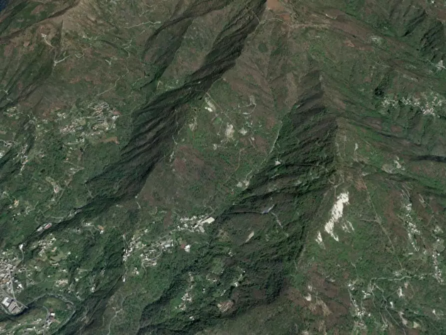 Immagine 5 di Terreno in vendita  in Via Villa, N. snc a Moconesi